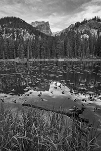 Nymph lake in Rocky Mountain National Park on a calm cool morning. - The_Midwest Photograph
