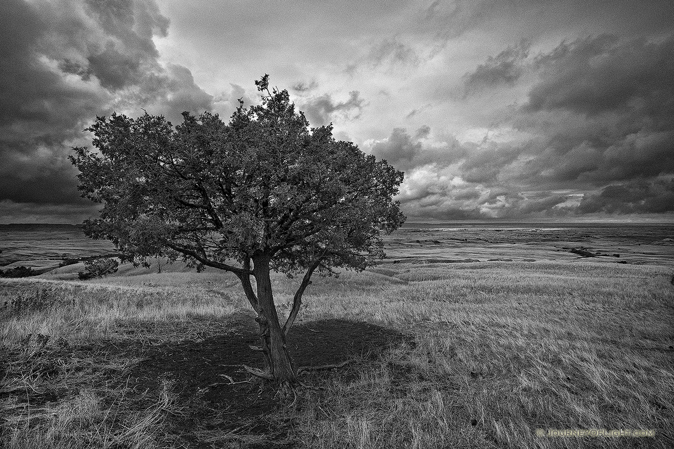 A lone tree watches over the vast prairie while a storm brews on the horizon in the Sage Creek area at Badlands National Park in South Dakota. - Badlands NP Picture