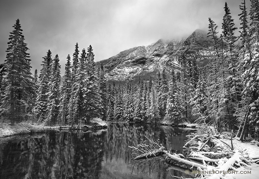 During a light late spring snowfall the water is still and the surroundings quiet. - Canada Photography