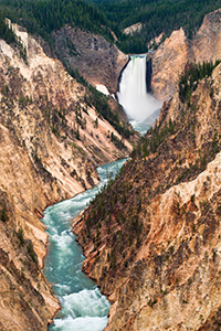 The Yellowstone River tumbles 308 feet into the Grand Canyon of the Yellowstone, the largest major waterfall by volume in the Rocky Mountains. - Wyoming Landscape Photograph