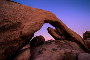 The sky takes on a deep purple hue over the natural arch in Joshua Tree National Park. - California Landscape Photograph