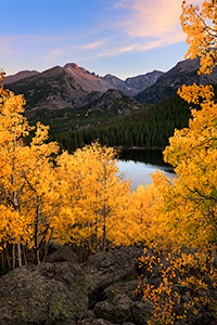 Scenic landscape photograph of an aspen grove above Bear Lake in Rocky Mountain National Park, Colorado. - Colorado Landscape Photograph
