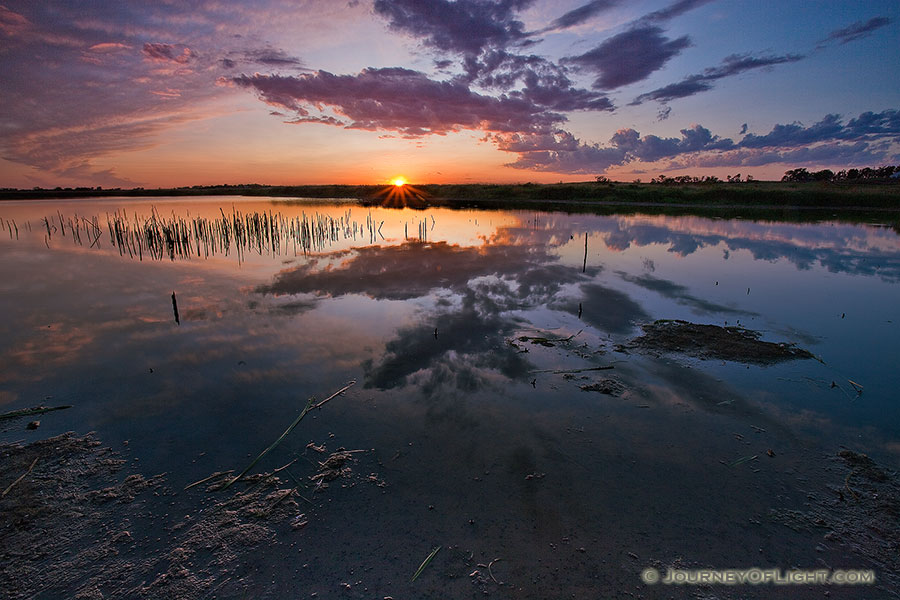 When capturing this photograph on a cool July evening at Jack Sinn WMA in eastern Nebraska, the evening was quiet except for the frogs and insects and the occasional honking of geese overhead. - Jack Sinn Photography