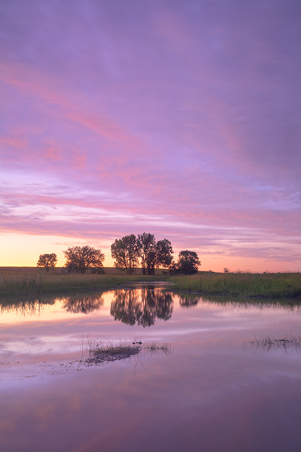 A beautiful Nebraska sunset is reflected in the Frank Shoemaker marsh near Lincoln, Nebraska. - Nebraska Photography