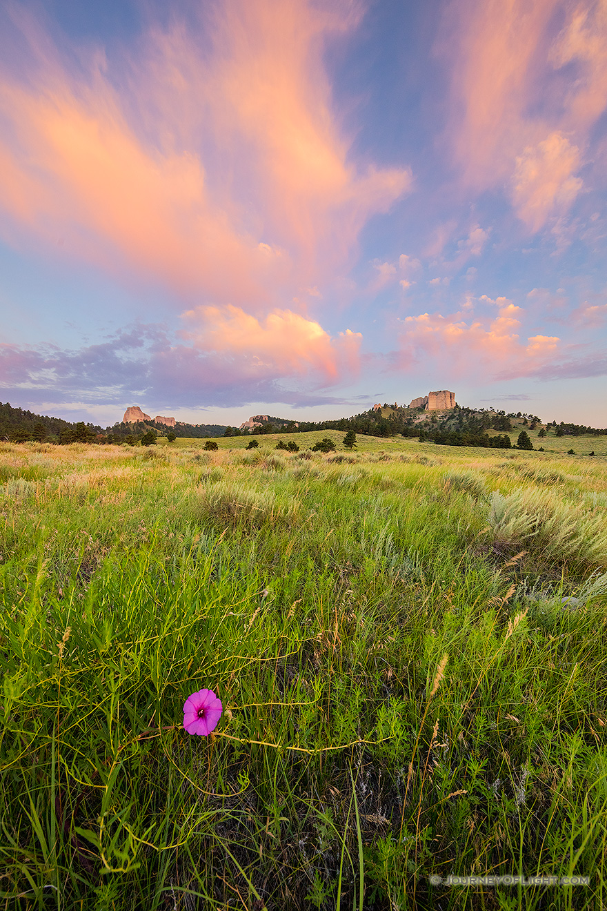 A Nebraska scenic landscape photograph of Fort Robinson State Park at sunrise with flowers and clouds. - Nebraska Picture