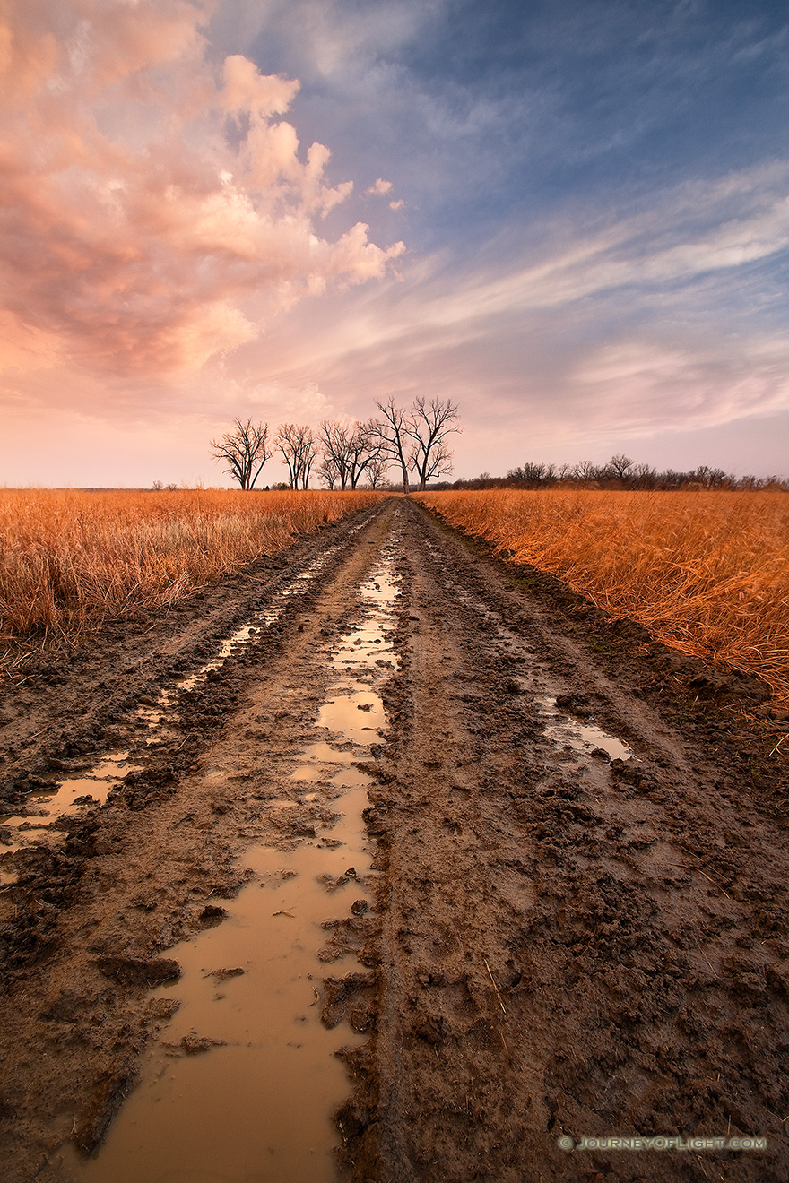 After an early spring rain, the prairie landscape is drenched creating puddles in a newly plowed road. - Boyer Chute Picture