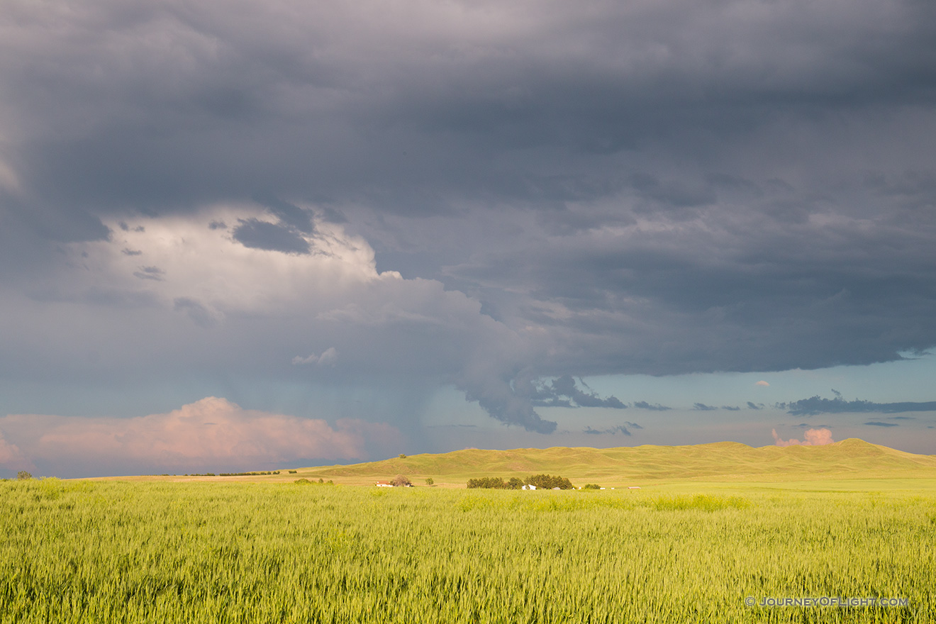 Storm clouds gather over a wheat field nestled in the sandhills of western Nebraska. - Sandhills Picture