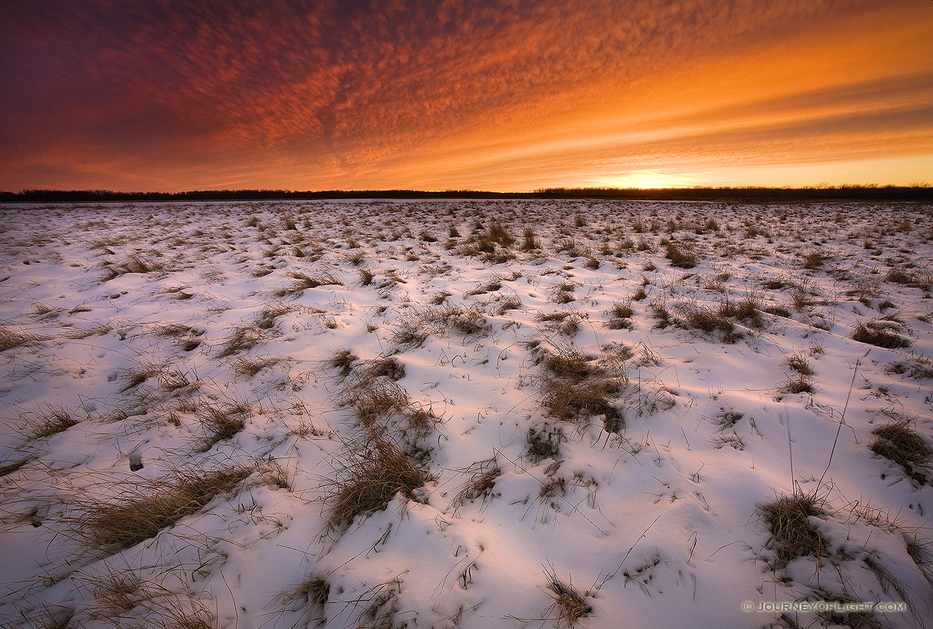 This photograph was taken 20 minutes after sunset when the clouds in the sky were still alit with the magnificent winter light at Desoto National Wildlife Refuge, Nebraska.  - DeSoto Picture