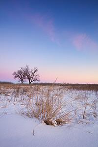 On a cold, winter day, dusk falls upon the prairie at Boyer Chute National Wildlife Refuge in eastern Nebraska. - Nebraska Landscape Photograph