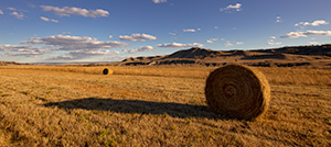 A scenic landscape pano photograph of hay bales at Ft. Robinson in Northwestern Nebraska. - Nebraska Landscape Photograph