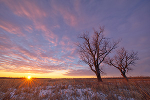 The sun warms the landscape on a frigid cold winter day at Boyer Chute National Wildlife Refuge. - Nebraska Landscape Photograph