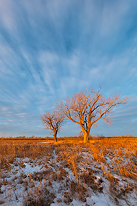 A photograph of a winter prairie landscape at Boyer Chute National Wildlife Refuge in eastern Nebraska. - Nebraska Landscape Photograph