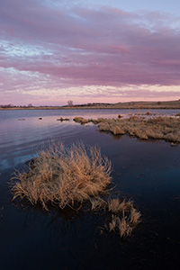 Dusk descends over a pond on the Little Salt Fork Marsh in Lancaster County near Raymond, Nebraska. - Nebraska Landscape Photograph
