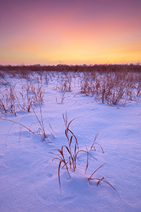 Sunset comes across the cold prairie at Boyer Chute National Wildlife Refuge.  A recent snowfall left a soft, white blanket across the landscape which reflects the warm hues of the setting sun. - Nebraska Landscape Photograph