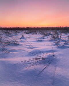 Evening descends on the cold, winter prairie at Boyer Chute National Wildlife Refuge near Ft. Calhoun, Nebraska. - Nebraska Photograph