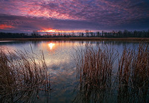 On a late fall morning, the sun rises slowly over DeSoto Lake at DeSoto National Wildlife Refuge. - Iowa Photograph
