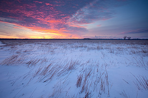 On a cold, early January morning, a snow covered prairie at Boyer Chute National Wildilfe Refuge is greated with a beautiful sunrise.  Due to the very low temperatures, on the horizon a light pillar is visible where in the location the sun will eventually rise. - Nebraska Landscape Photograph