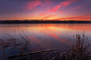 Sunrise on a chilly late November morning in DeSoto National Wildlife Refuge.  That morning frost clung to the cattails and logs and the lake had a slight layer of ice that had formed overnight which reflected the light of the rising sun. - Iowa Photograph