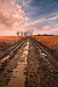 After an early spring rain, the prairie landscape is drenched creating puddles in a newly plowed road. - Nebraska Photograph