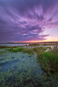 On a warm summer evening, the sun sets in the west as clouds roll over a salt creek marsh at Jack Sinn Wildlife Management Area. - Nebraska Photograph