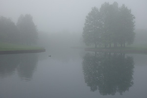 A quiet morning by a small pond near the Gateway Arch. - Missouri Photograph