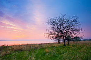 The spring rains often make the sandhill region of Nebraska a verdant green. It is one of my favorite times to become lost in the sea of grass in the central part of the state. On this beautiful morning I wandered out to North Marsh Lake in the Valentine National Wildlife Refuge and waited as the sun rose on the distant horizon illuminating the clouds in pastel pinks, oranges, and purples. - Nebraska Photograph