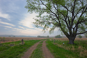 For some the Great Plains are synonymous with desolation, loneliness.  They avoid this land, but when they can�t they pass through as fast as they can without even a glance.  For others the Great Plains are synonymous with solitude, soul-searching.  Those individuals embrace this land and find the sublime in the unending horizon and limitless sky.  They find comfort in the sound of prairie grass swaying in the breeze where others only find silence. - Nebraska Sandhills Photograph