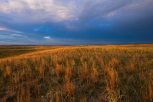 Dark clouds hover over the rolling sandhills in McKelvie National Forest as the last light of the setting sun illuminates the prairie grasses. - Nebraska Photograph