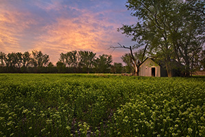 After exploring the western side of DeSoto National Wildlife Refuge I came across this old shed.  The quiet evening had a serenity felt throughout the park. - Nebraska Photograph