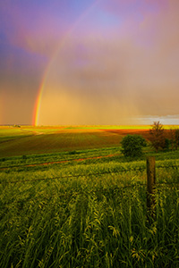After a rain storm a stunning rainbow touches the ground on the Missouri Valley plains. - Nebraska Photograph