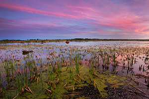 On a late spring evening the calm marsh at Jack Sinn Wildlife Management Area reflects the colors of twilight. - Nebraska Photograph