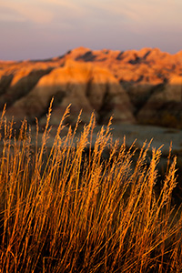 Just as dusk falls on a warm summer afternoon the final light of the sun illuminates prairie grass and the tops of the craggy landscape in Badlands National Park in South Dakota. - South Dakota Landscape Photograph