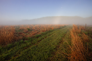 In the early morning at Ponca State Park, the setting moon descends into the fog rising from the prairie. - Nebraska Photograph