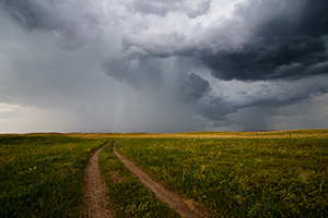 An ominous storm hovers over a two track in McKelvie National Forest.  The clouds slowly roll through dropping rain over the sandhills while lightning lights up the sky and the sound of thunder fills the air. - Nebraska Photograph
