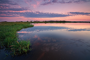 On a humid July evening at Jack Sinn WMA in eastern Nebraska, the air was still and the marsh was quiet. - Nebraska Photograph