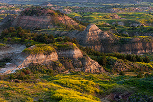Bluffs in the Painted Canyon in Theodore Roosevelt National Park glow warm from the light of early morning. - North Dakota Photograph
