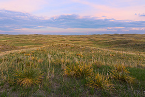 As twilight descends, a calm comes over an expanse of the sandhills in Cherry County, Nebraska. - Nebraska Photograph