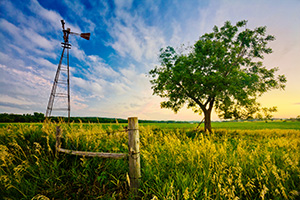An old windmill and fence are the only company to a single tree on the eastern Nebraska plains. - Nebraska Photograph