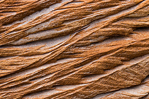 An abstract pattern caused by erosion in rocks embedded in the bluffs in Theodore Roosevelt National Park. - North Dakota Photograph