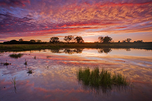 An intense autumn sunset is reflected in the Frank Shoemaker Marsh near Lincoln, Nebraska. - Nebraska Photograph