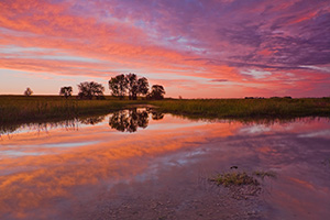 A beautiful sunset reflects off a saltwater marsh in eastern Nebraska near Lincoln. - Nebraska Photograph