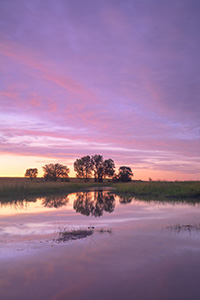 A beautiful Nebraska sunset is reflected in the Frank Shoemaker marsh near Lincoln, Nebraska. - Nebraska Photograph