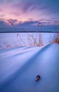 While photographing this winter sunset scene at DeSoto National Wildlife Refuge, I included a feather from a bird that evidently met an untimely end. - Nebraska Photograph
