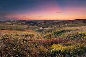 On an early fall evening, the final rays of the sun are briefly visible across Chadron State Park, Nebraska. - Nebraska Photograph