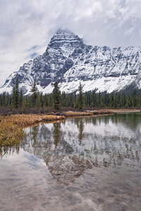 Mt. Cephron rises above the Mistaya River in Banff National Park, Alberta, Canada. - Canada Photograph