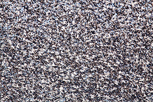 A group of snow geese appear as an abstract image as the enormous flock takes to the sky at Squaw Creek National Wildlife Refuge in Missouri.  There were over 1 million birds on the lake on this day. - Missouri Photograph