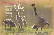Hiking With Riley Story in Nebraska Life.  Contributed both text and photography. - Tear Sheet Photograph